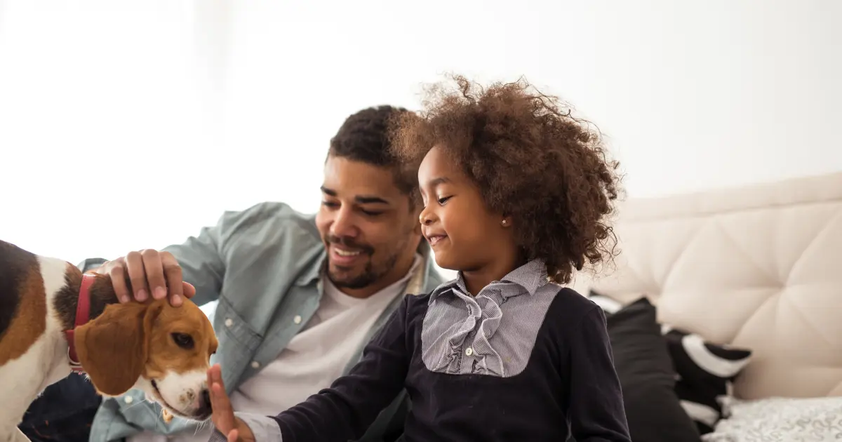 Animal visual data 4