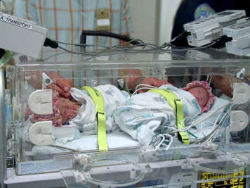 Two premature babies wrapped in blankets in a travel isolette, each with a yellow strap across the torso