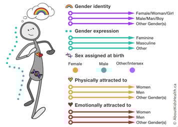 A grey stick person with gender identity at the head, sex at the groin, sexual orientation at the heart and gender expression all encompassing.