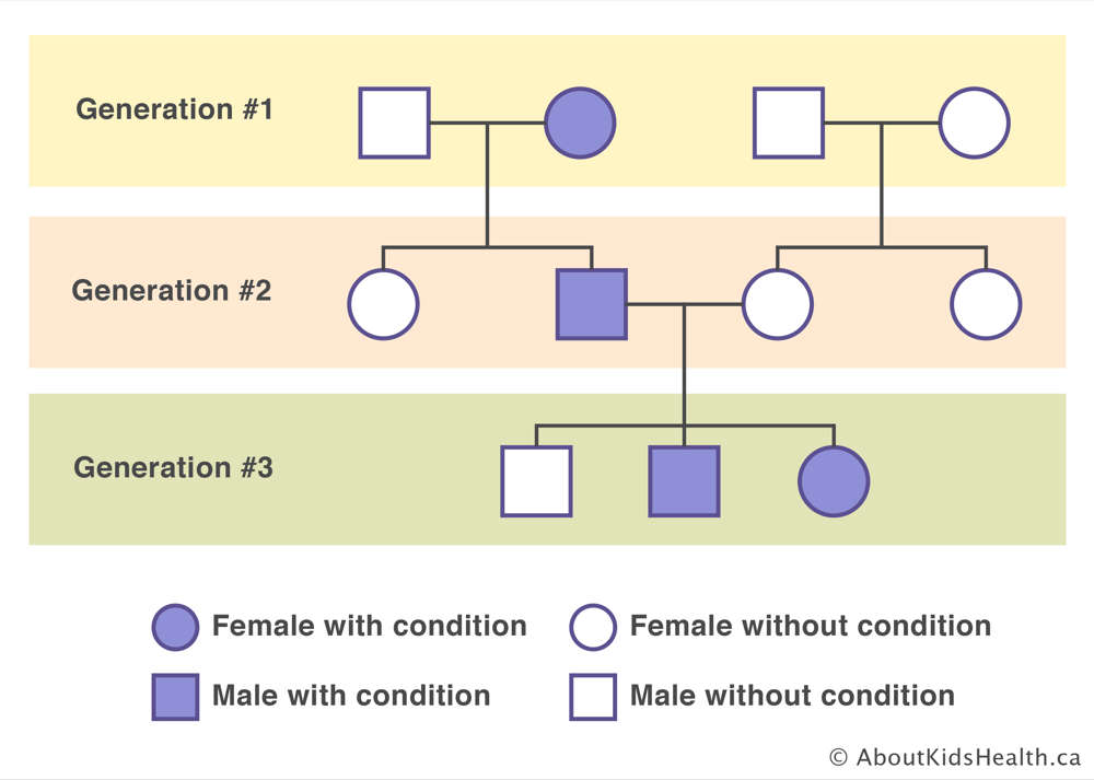 Pedigree of three generations with a female with trait in generation 2 and a male and female with trait in generation 3