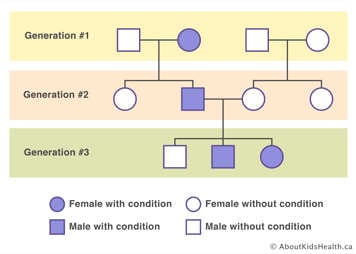 Pedigree of three generations with a female with trait in generation 2 and a male and female with trait in generation 3