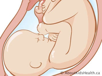 fetus in utero at 7 months of pregnancy