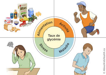 Une illustration des facteurs qui peuvent affecter le taux de glycémie