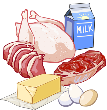 Saturated fat food examples, including meats, eggs, butter and milk