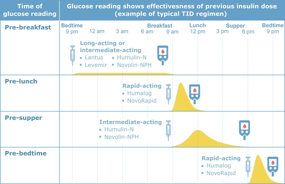 Graph showing effectiveness of insulin doses at different times of the day following a typical TID regimen