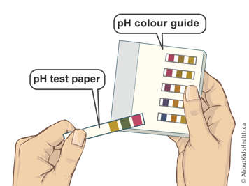 pH test papers and a pH colour guide