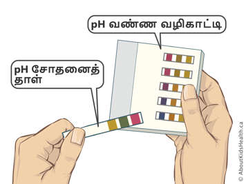 pH test papers and a pH colour guide