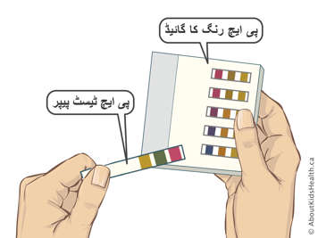 pH test papers and a pH colour guide