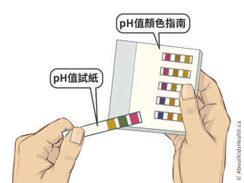 pH test papers and a pH colour guide