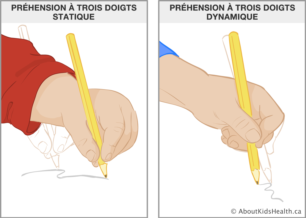 Illustration de la préhension à trois doigts statique et de la préhension à trois doigts dynamique d’un crayon