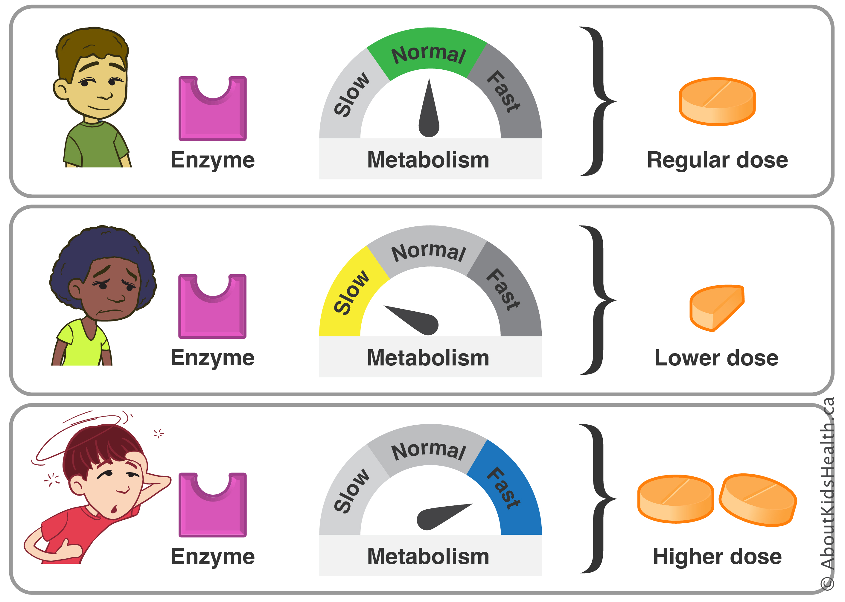Differences in the spelling of certain genes can help explain how a person may experience potential side effects or ineffectiveness from a medication