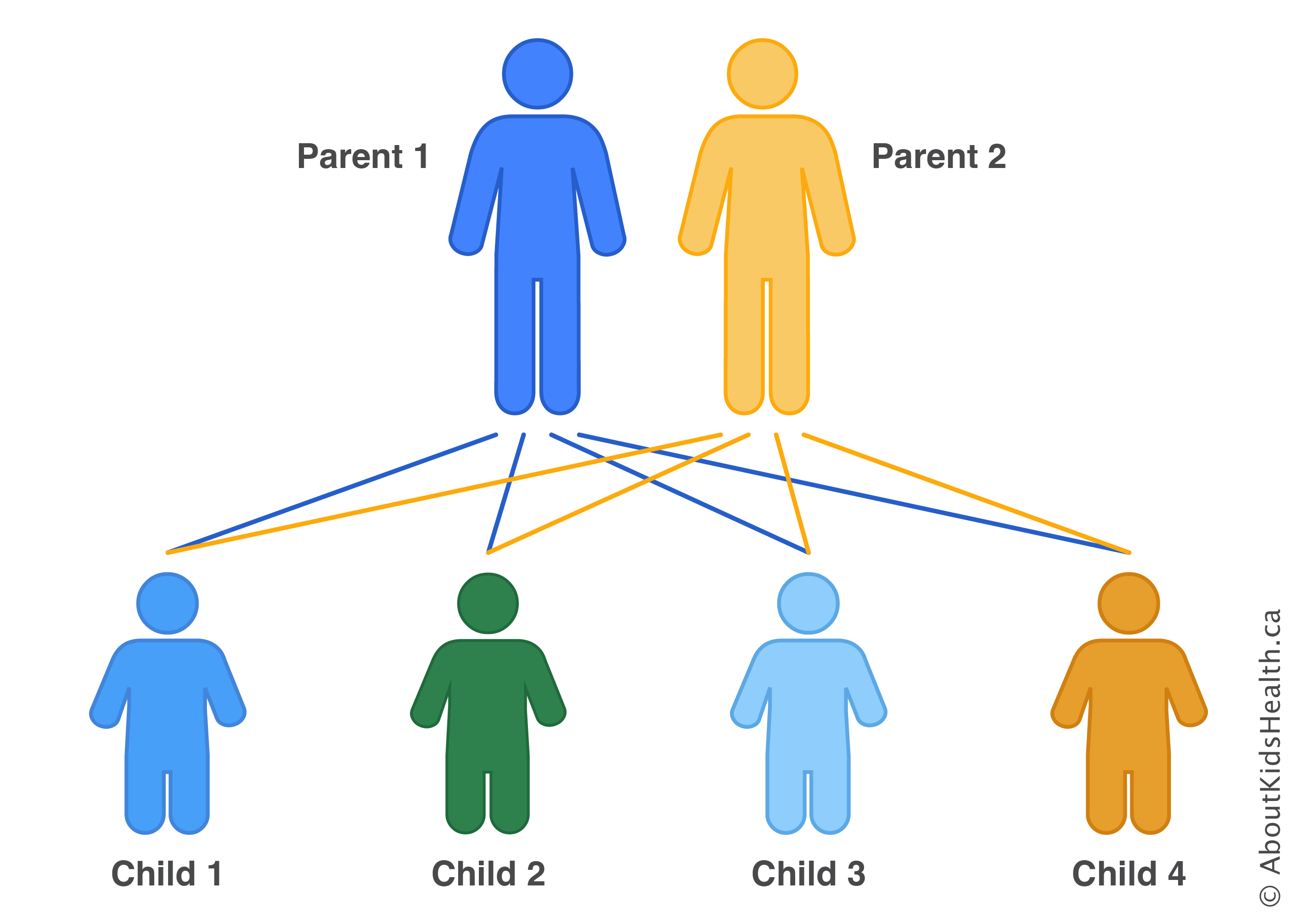 Two parents, blue and yellow. Child 1, blue. Child 2, green. Child 3, blue. Child 4, yellow.