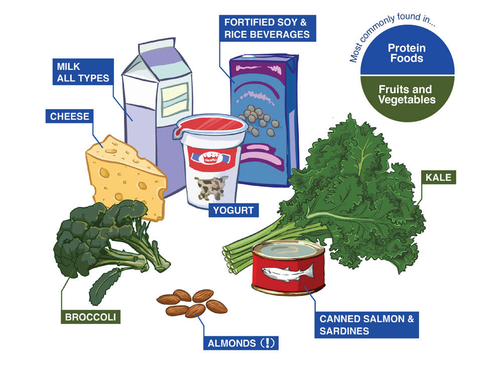 Milk products and alternatives and vegetables and fruits containing calcium