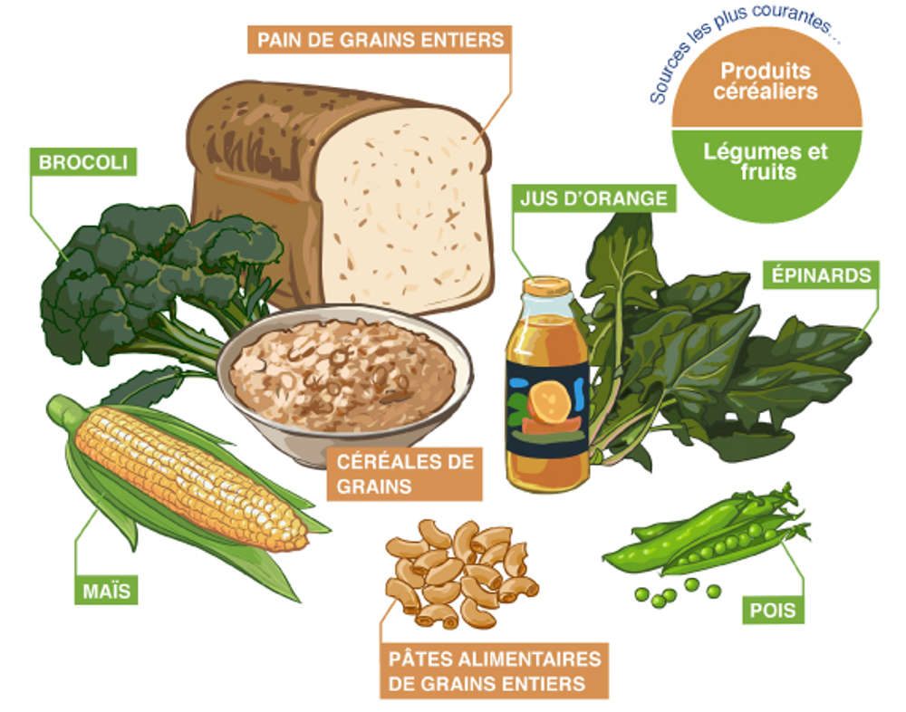 Des produits céréaliers et des légumes et fruits contenant le folate