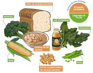 Des produits céréaliers et des légumes et fruits contenant le folate
