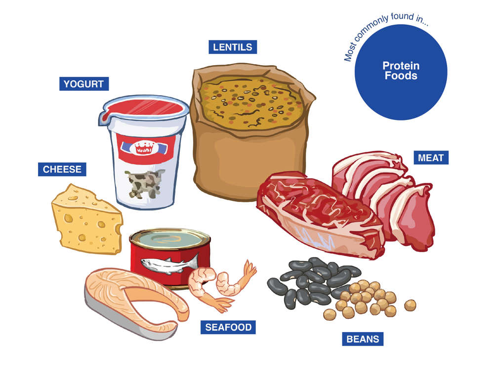 Milk products and alternatives and meats and alternatives containing zinc
