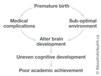 Chart of the path from premature birth to poor academic achievement