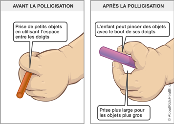 Une main tenant un objet en utilisant l'espace entre les doigts, et une main pincant des objets avec le bout des doigts