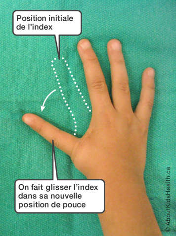 La main droite avec l'index glissé en position du pouce. Une ligne pointillée montre la position initiale de l'index
