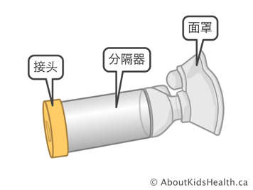 储雾罐的接头、分隔器和面罩,储雾罐带有用于给药的接口管