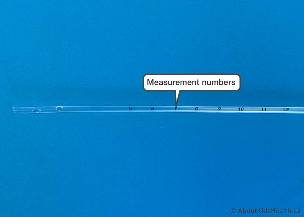 Measure numbers shown on a catheter