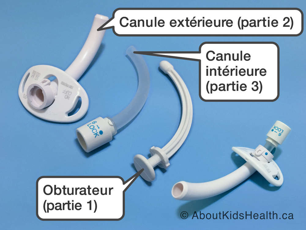Obturateur, canule extérieure et canule intérieure d’un tube de trachéostomie